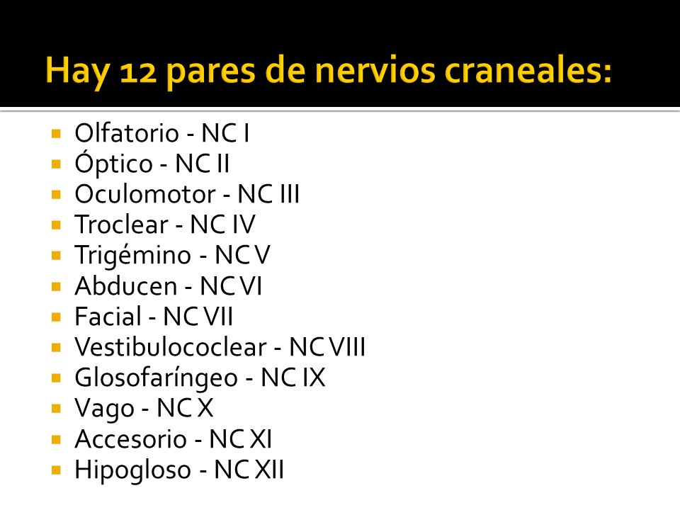 Hay 12 pares de nervios craneales:
