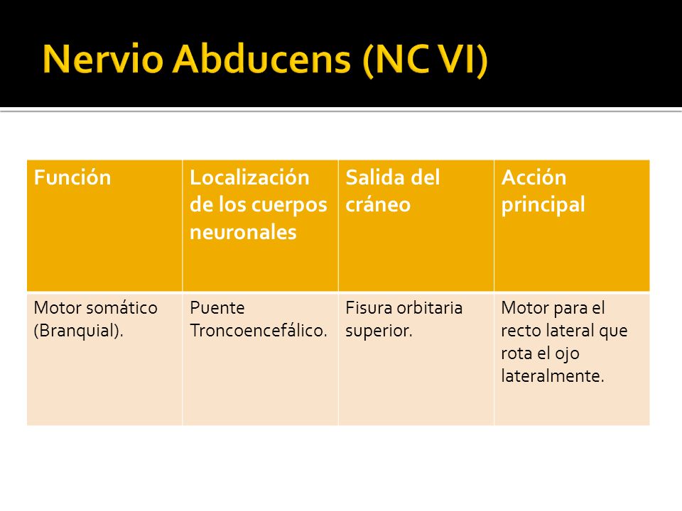 Nervio Abducens (NC VI)