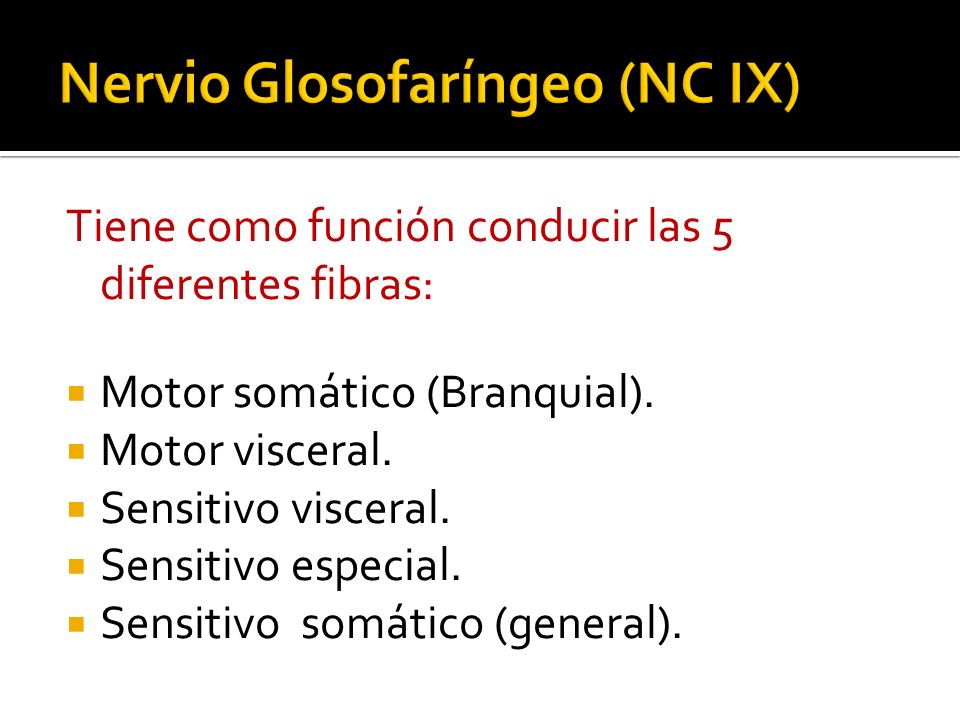 Nervio Glosofaríngeo (NC IX)