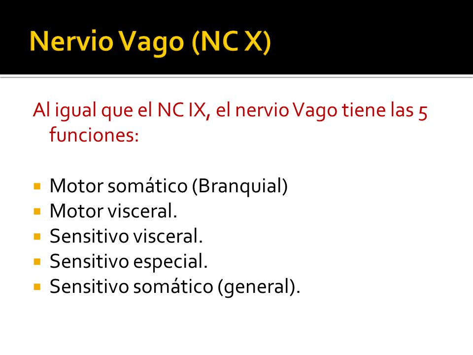 Nervio Vago (NC X) Al igual que el NC IX, el nervio Vago tiene las 5 funciones: Motor somático (Branquial)