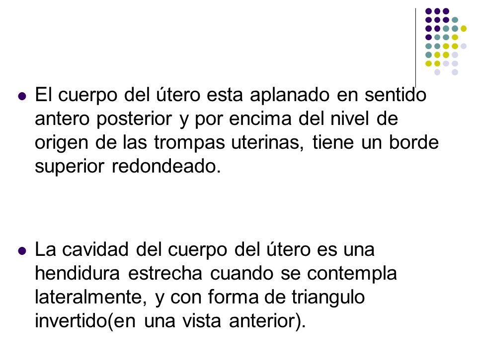 El cuerpo del útero esta aplanado en sentido antero posterior y por encima del nivel de origen de las trompas uterinas, tiene un borde superior redondeado.