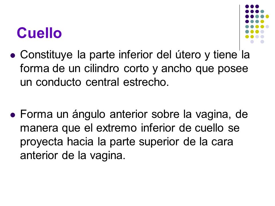 Cuello Constituye la parte inferior del útero y tiene la forma de un cilindro corto y ancho que posee un conducto central estrecho.