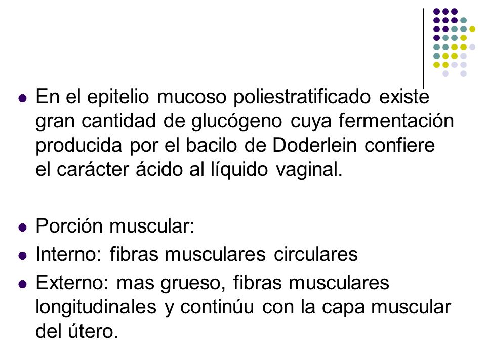 En el epitelio mucoso poliestratificado existe gran cantidad de glucógeno cuya fermentación producida por el bacilo de Doderlein confiere el carácter ácido al líquido vaginal.
