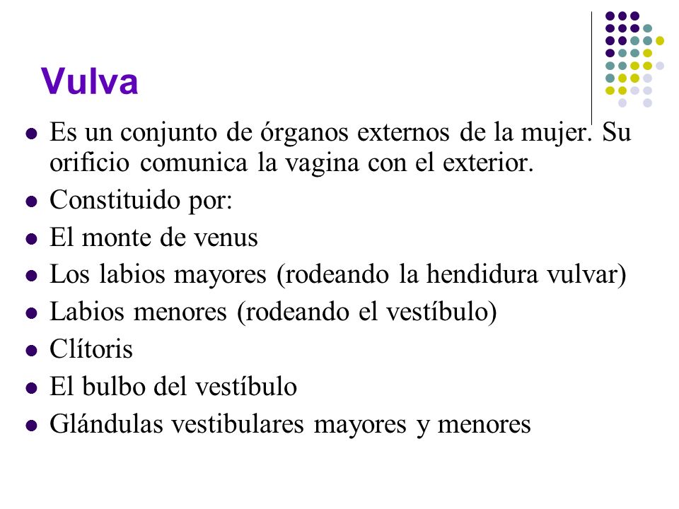 Vulva Es un conjunto de órganos externos de la mujer. Su orificio comunica la vagina con el exterior.
