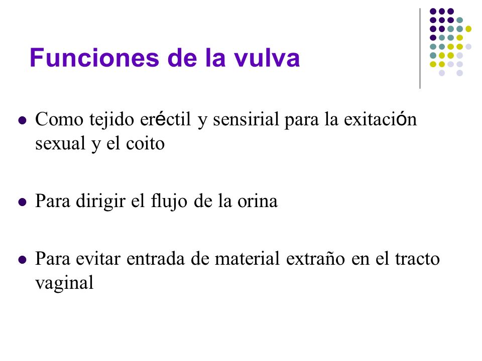 Funciones de la vulva Como tejido eréctil y sensirial para la exitación sexual y el coito. Para dirigir el flujo de la orina.