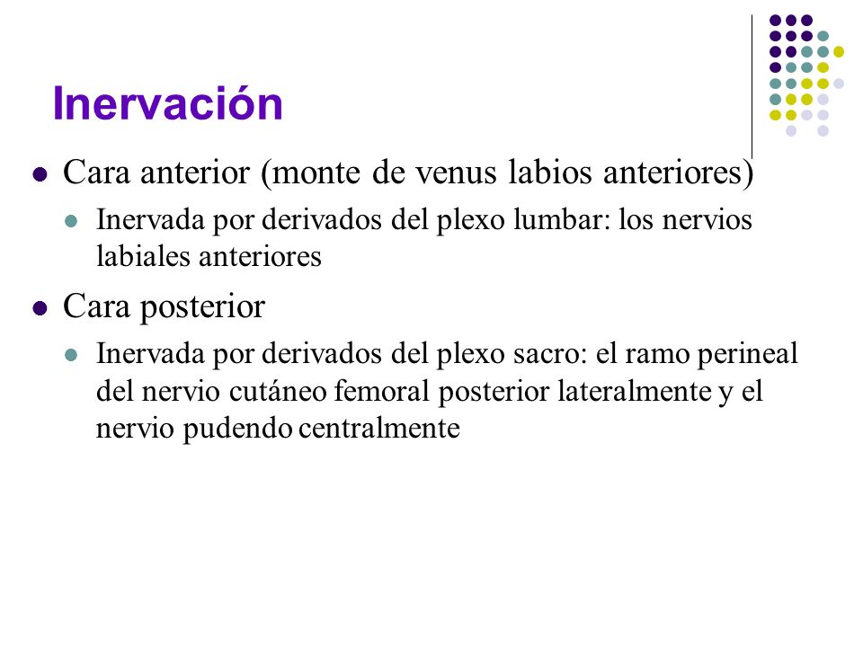 Inervación Cara anterior (monte de venus labios anteriores)