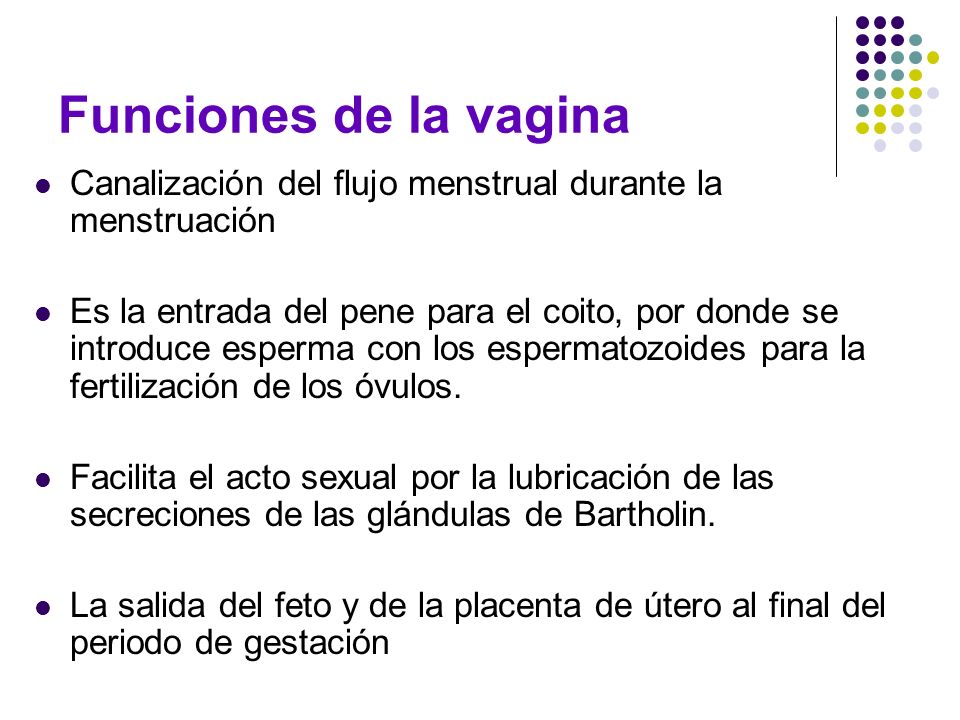 Funciones de la vagina Canalización del flujo menstrual durante la menstruación.