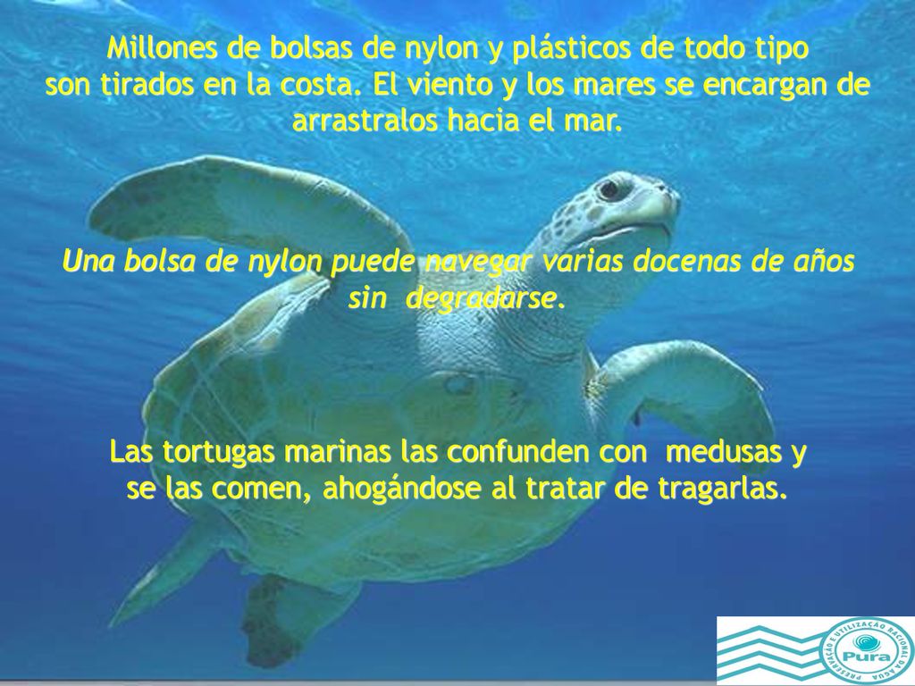 Millones de bolsas de nylon y plásticos de todo tipo
