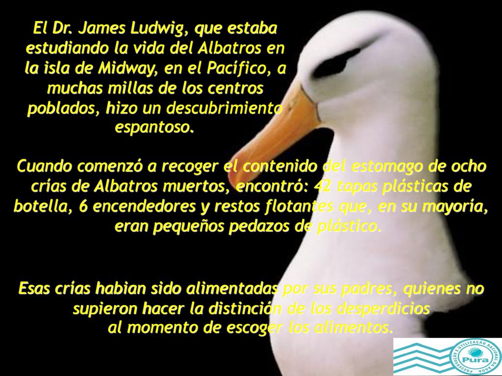 El Dr. James Ludwig, que estaba estudiando la vida del Albatros en la isla de Midway, en el Pacífico, a muchas millas de los centros poblados, hizo un descubrimiento espantoso.