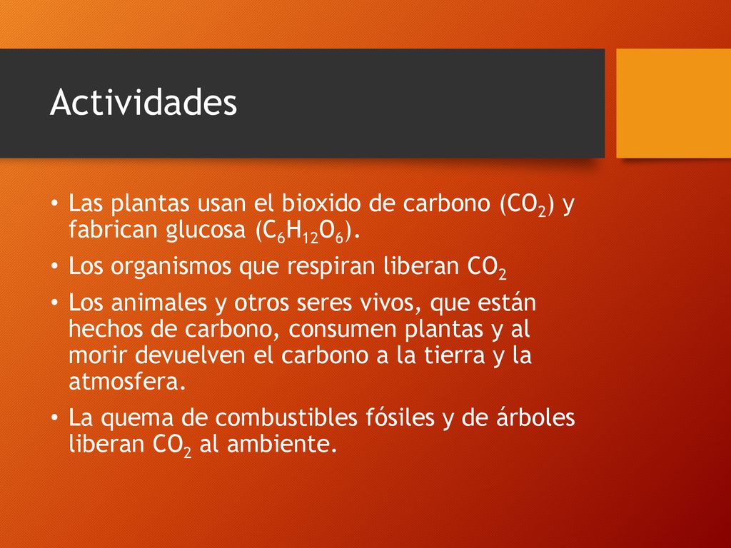 Actividades Las plantas usan el bioxido de carbono (CO2) y fabrican glucosa (C6H12O6). Los organismos que respiran liberan CO2.