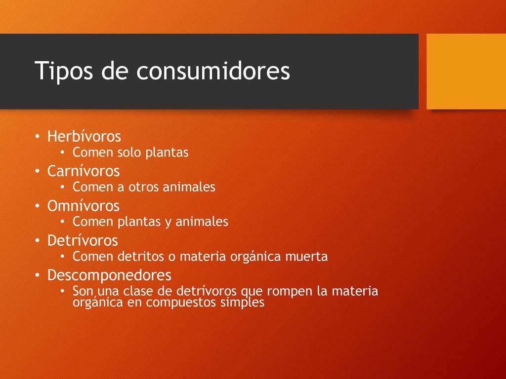 Tipos de consumidores Herbívoros Carnívoros Omnívoros Detrívoros