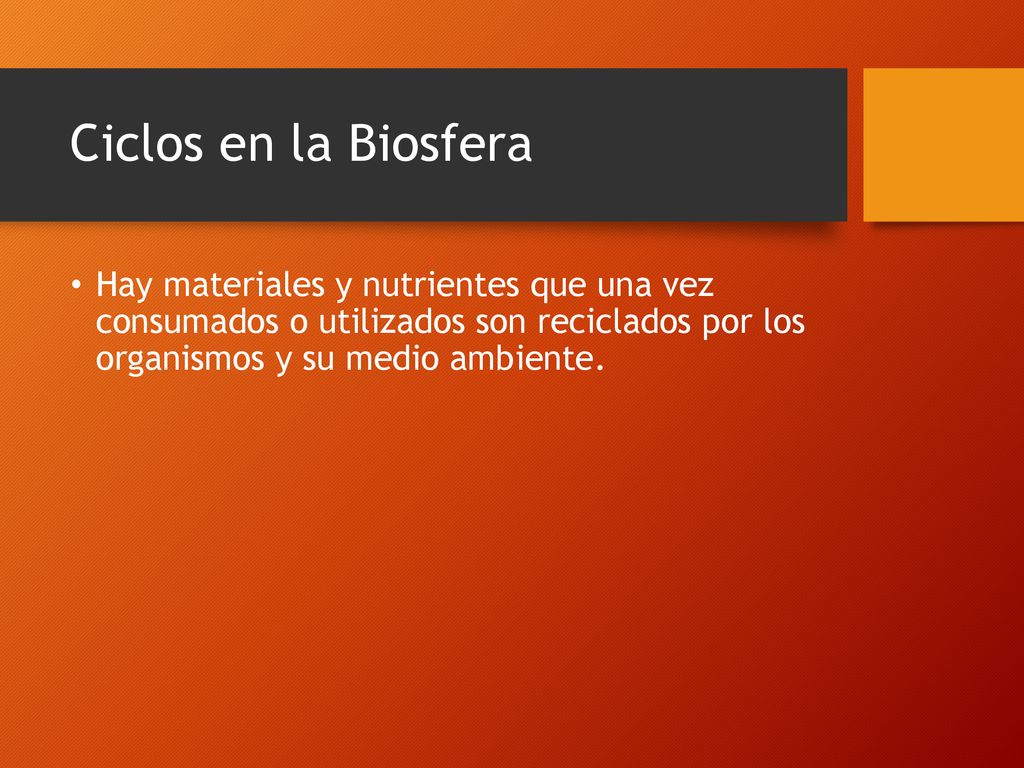 Ciclos en la Biosfera Hay materiales y nutrientes que una vez consumados o utilizados son reciclados por los organismos y su medio ambiente.
