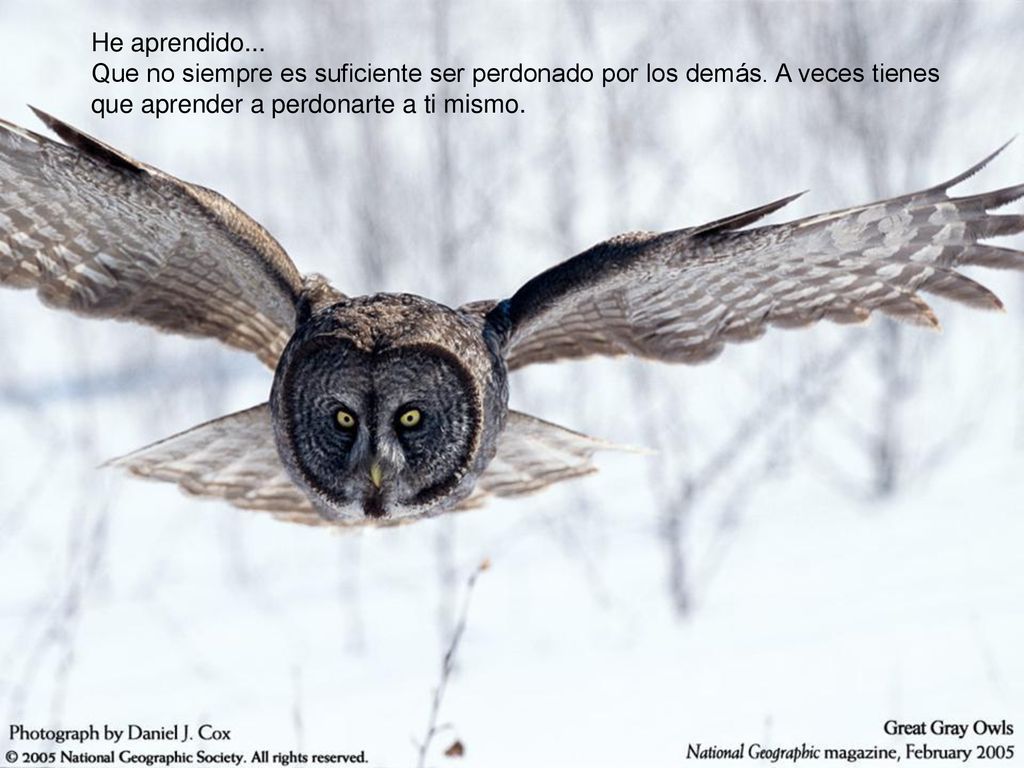 He aprendido. Que no siempre es suficiente ser perdonado por los demás