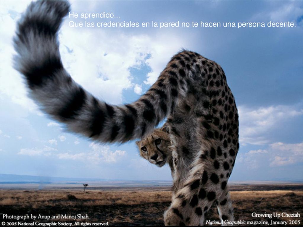 He aprendido... Que las credenciales en la pared no te hacen una persona decente.