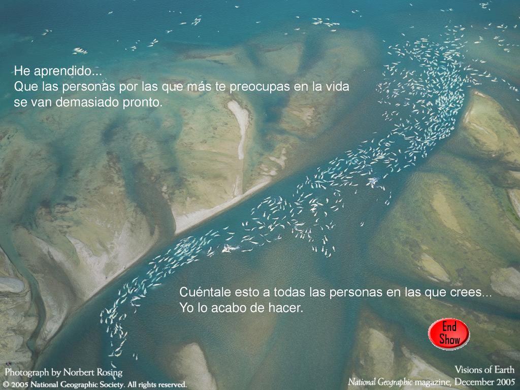 He aprendido... Que las personas por las que más te preocupas en la vida se van demasiado pronto.
