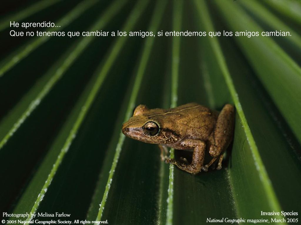 He aprendido... Que no tenemos que cambiar a los amigos, si entendemos que los amigos cambian.