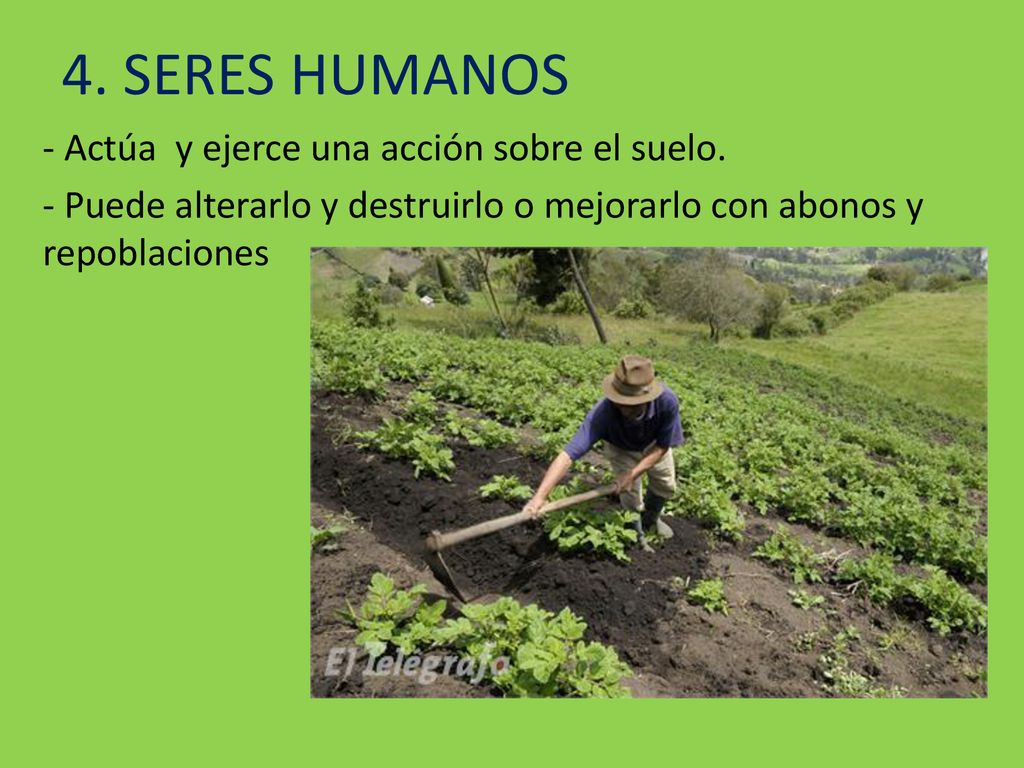 4. SERES HUMANOS Actúa y ejerce una acción sobre el suelo.