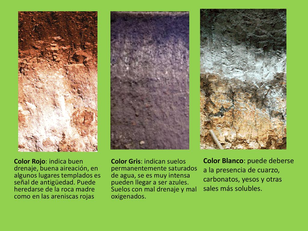Color Blanco: puede deberse a la presencia de cuarzo, carbonatos, yesos y otras sales más solubles.