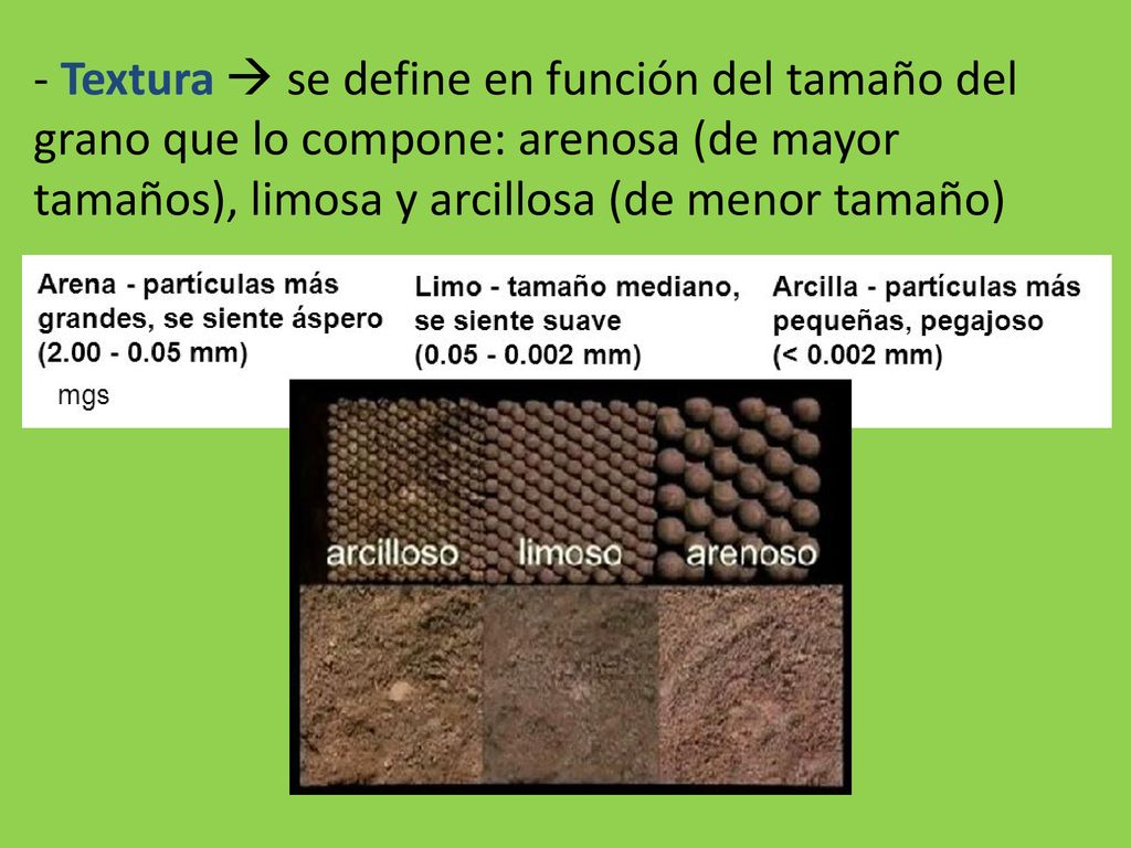 - Textura  se define en función del tamaño del grano que lo compone: arenosa (de mayor tamaños), limosa y arcillosa (de menor tamaño)