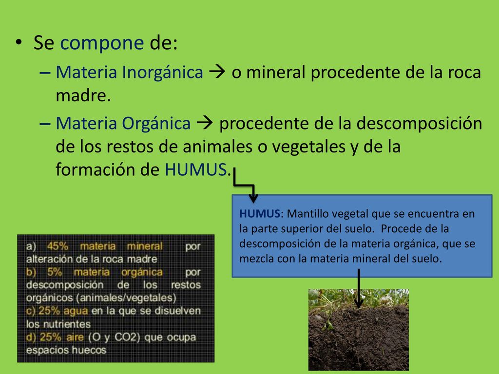 Se compone de: Materia Inorgánica  o mineral procedente de la roca madre.