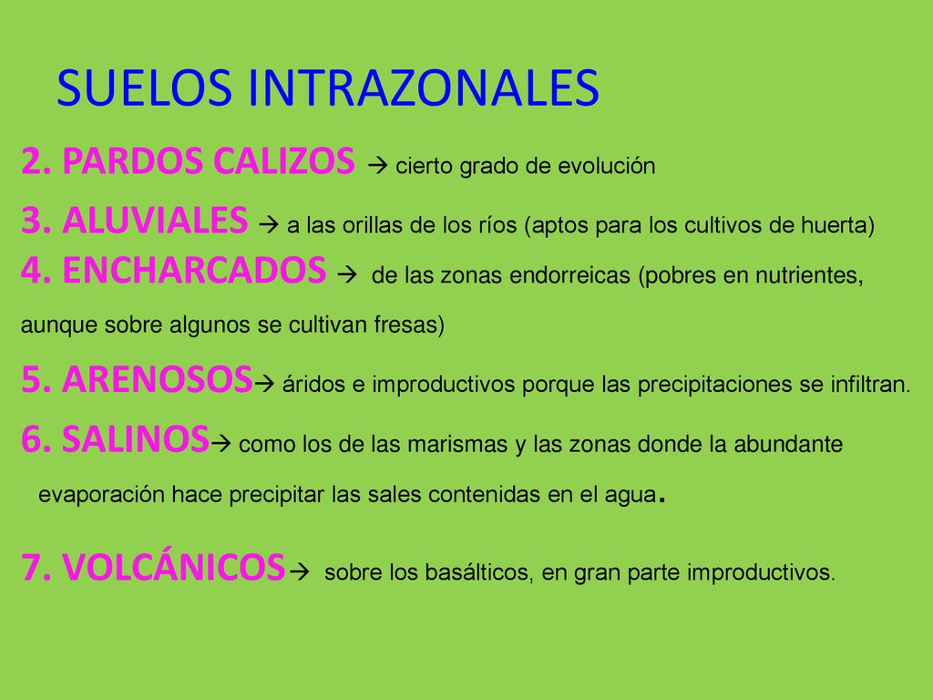 SUELOS INTRAZONALES 2. PARDOS CALIZOS  cierto grado de evolución