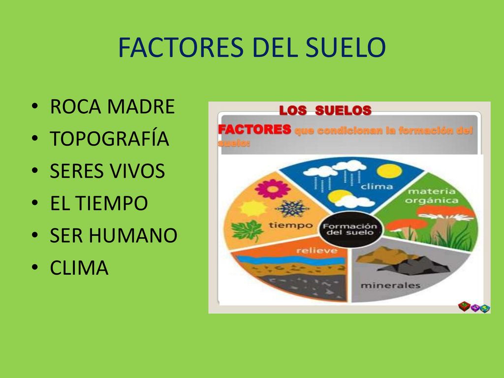 FACTORES DEL SUELO ROCA MADRE TOPOGRAFÍA SERES VIVOS EL TIEMPO