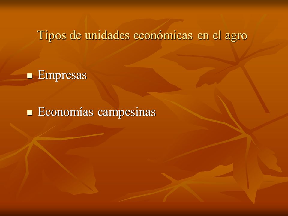 Tipos de unidades económicas en el agro
