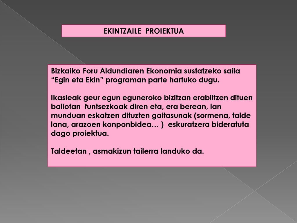 EKINTZAILE PROIEKTUA Bizkaiko Foru Aldundiaren Ekonomia sustatzeko saila Egin eta Ekin programan parte hartuko dugu.