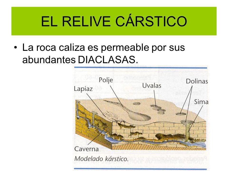 EL RELIVE CÁRSTICO La roca caliza es permeable por sus abundantes DIACLASAS.