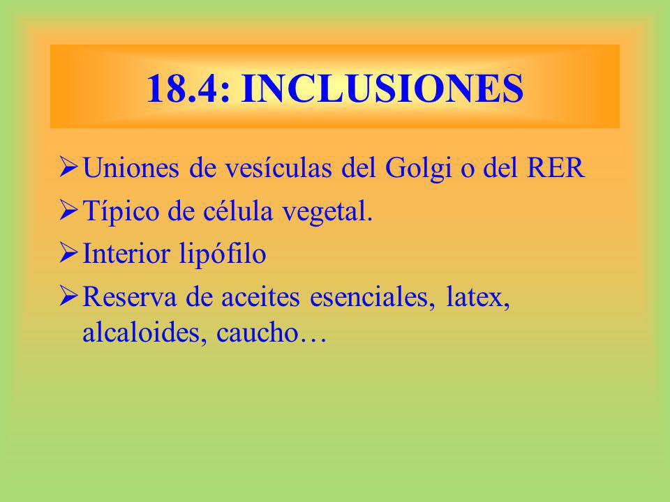 18.4: INCLUSIONES Uniones de vesículas del Golgi o del RER