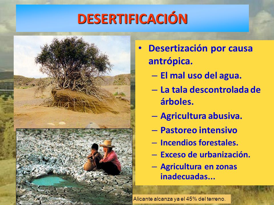 DESERTIFICACIÓN Desertización por causa antrópica.