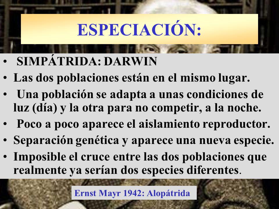 ESPECIACIÓN: SIMPÁTRIDA: DARWIN