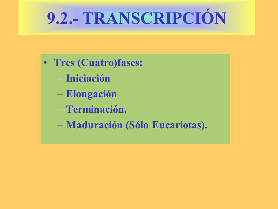 9.2.- TRANSCRIPCIÓN Tres (Cuatro)fases: Iniciación Elongación