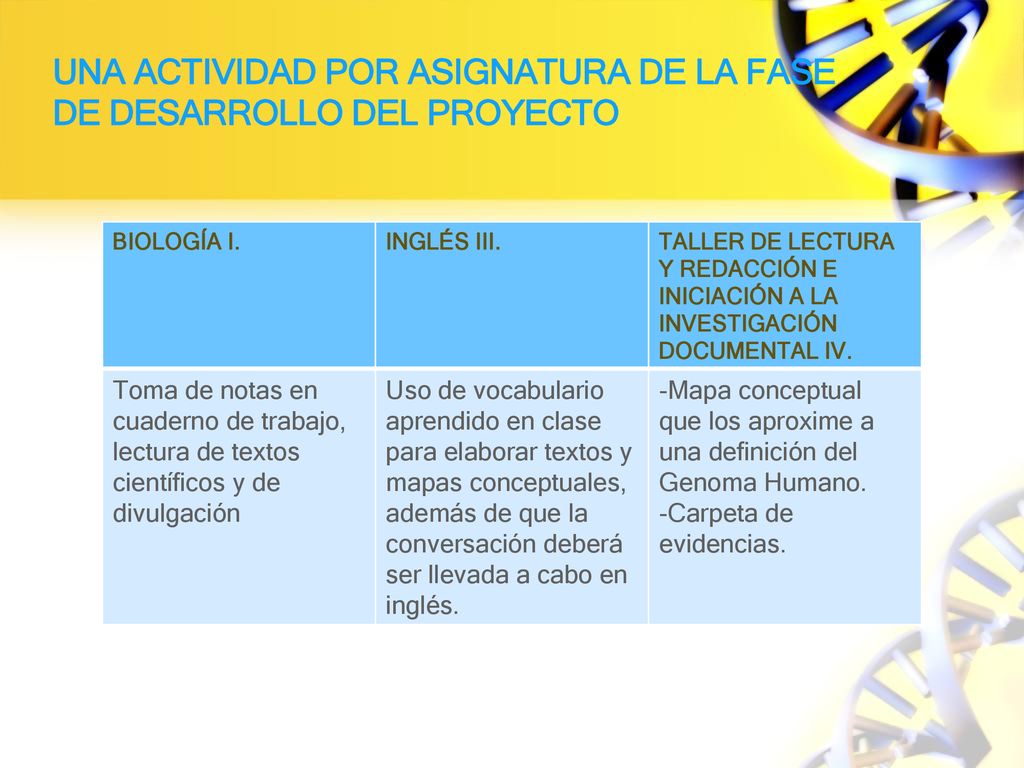 Una actividad por asignatura de la fase de desarrollo del proyecto