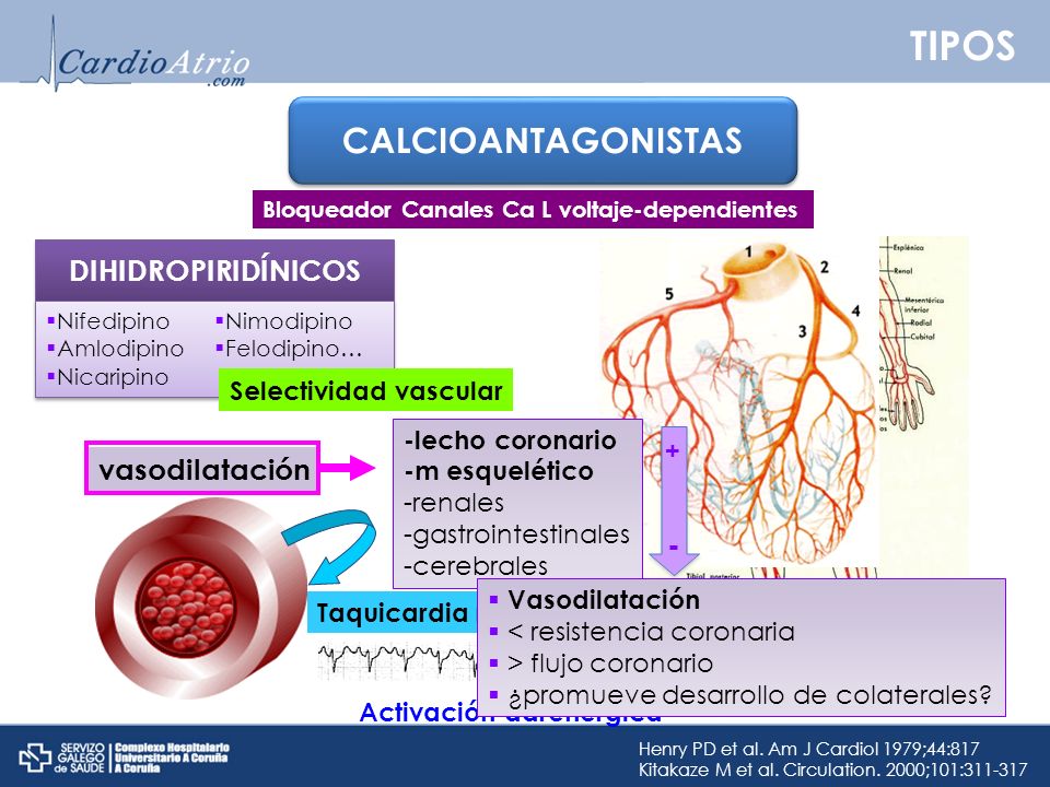 TIPOS CALCIOANTAGONISTAS DIHIDROPIRIDÍNICOS vasodilatación -