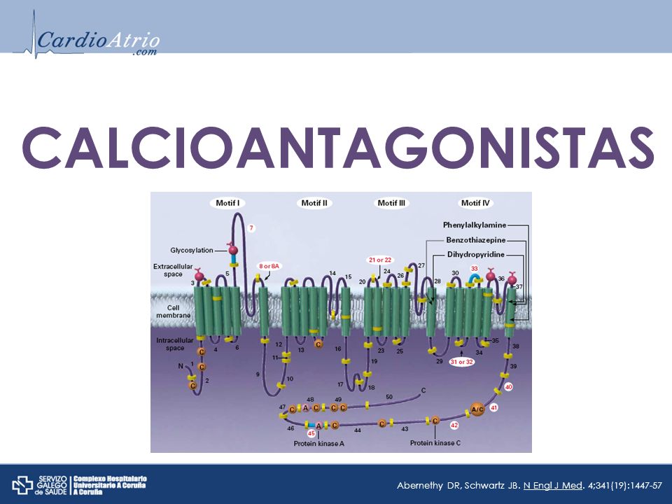 CALCIOANTAGONISTAS Abernethy DR, Schwartz JB. N Engl J Med. 4;341(19):