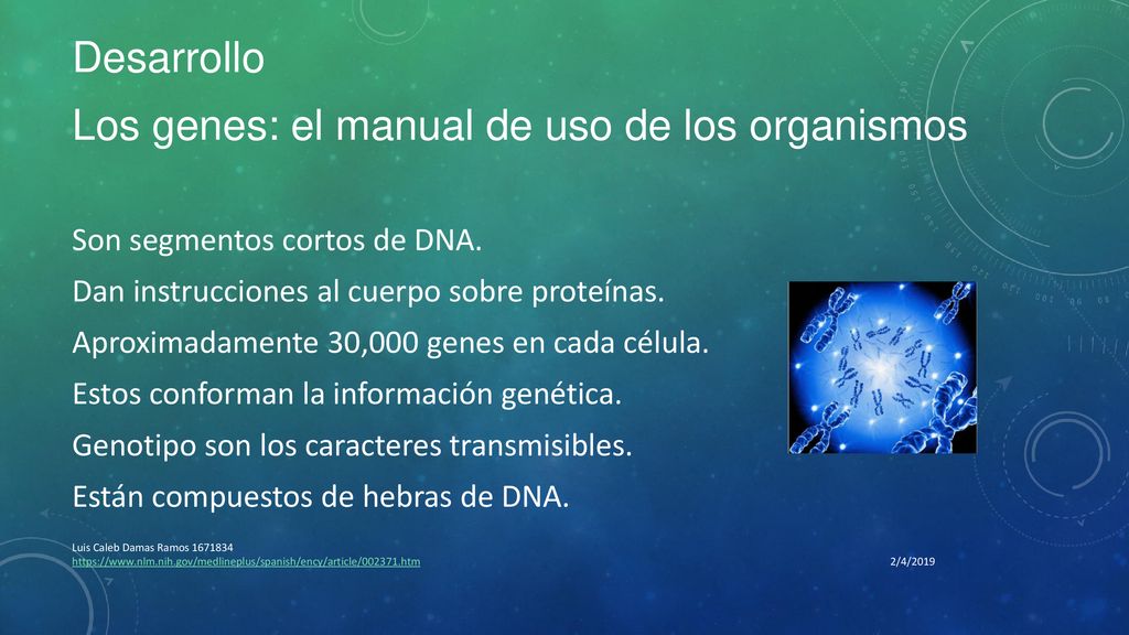Los genes: el manual de uso de los organismos