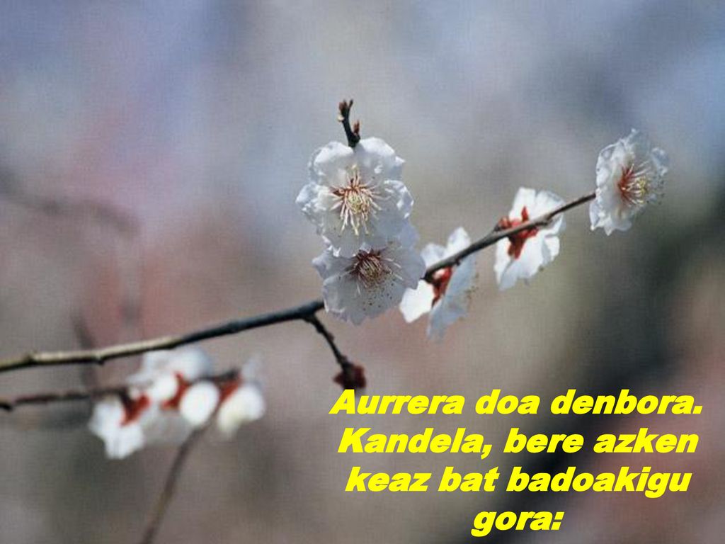 Aurrera doa denbora. Kandela, bere azken keaz bat badoakigu gora: