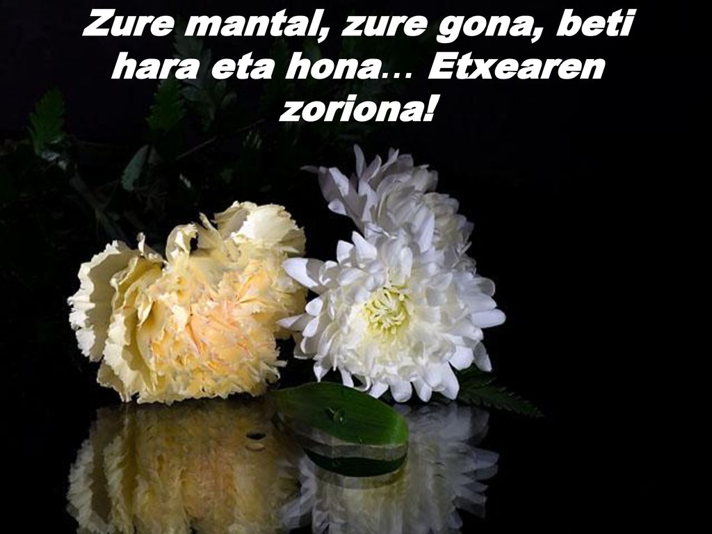 Zure mantal, zure gona, beti hara eta hona… Etxearen zoriona!