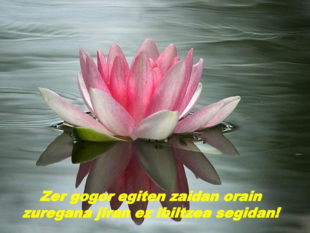 Zer gogor egiten zaidan orain zuregana jiran ez ibiltzea segidan!