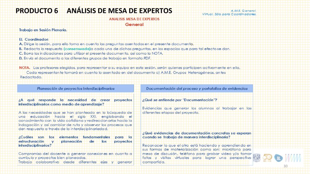 PRODUCTO 6 ANÁLISIS DE MESA DE EXPERTOS
