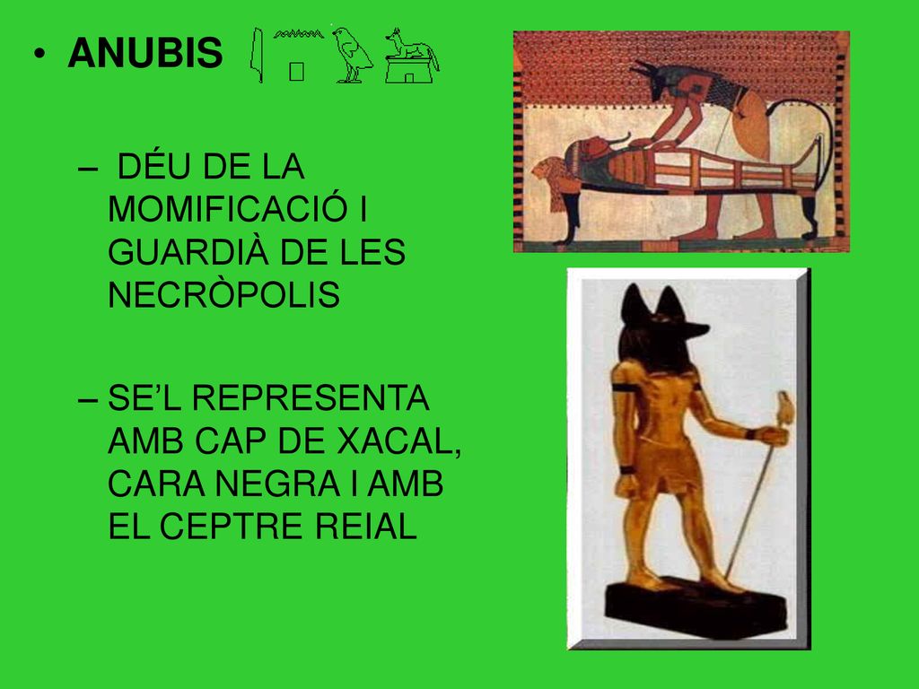 ANUBIS DÉU DE LA MOMIFICACIÓ I GUARDIÀ DE LES NECRÒPOLIS