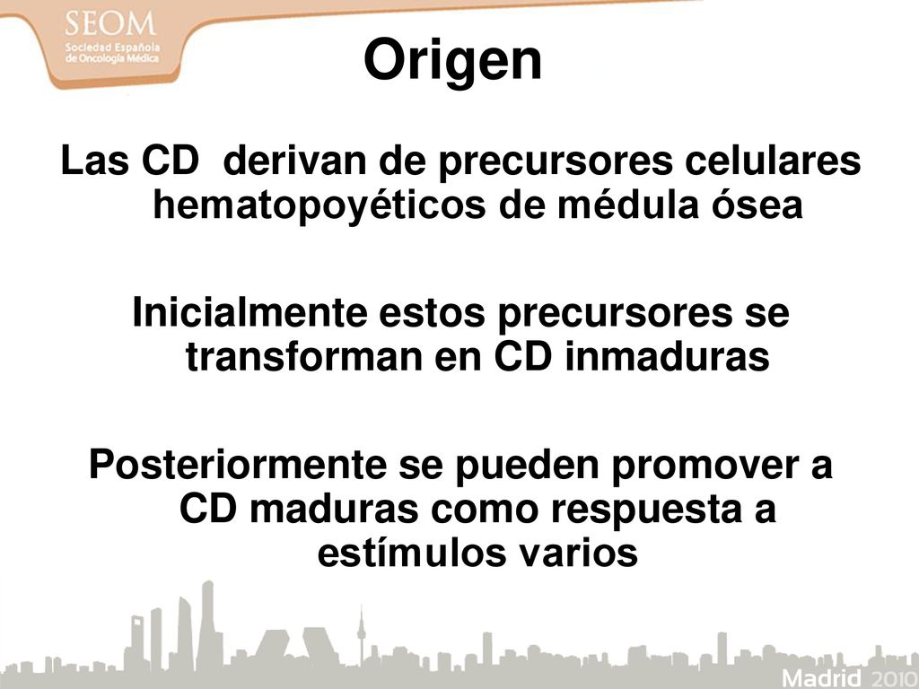 Origen Las CD derivan de precursores celulares hematopoyéticos de médula ósea. Inicialmente estos precursores se transforman en CD inmaduras.