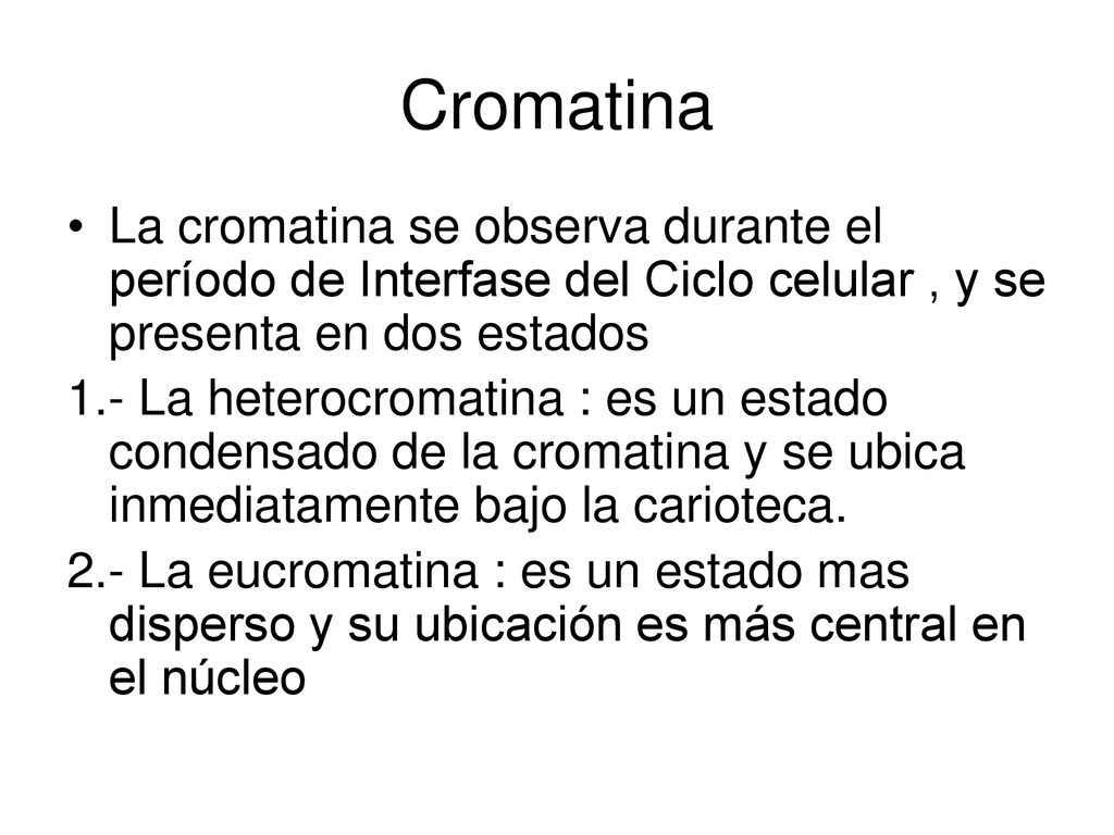 Cromatina La cromatina se observa durante el período de Interfase del Ciclo celular , y se presenta en dos estados.