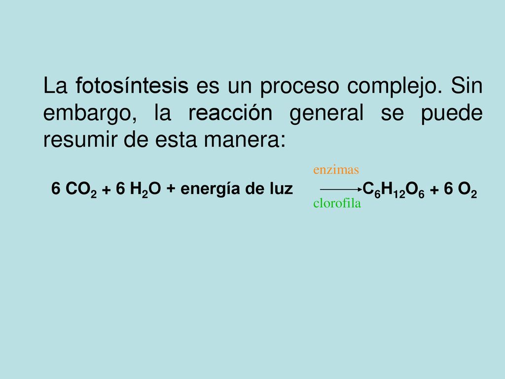 6 CO2 + 6 H2O + energía de luz C6H12O6 + 6 O2
