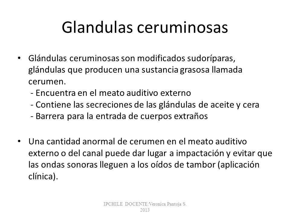 Glandulas ceruminosas