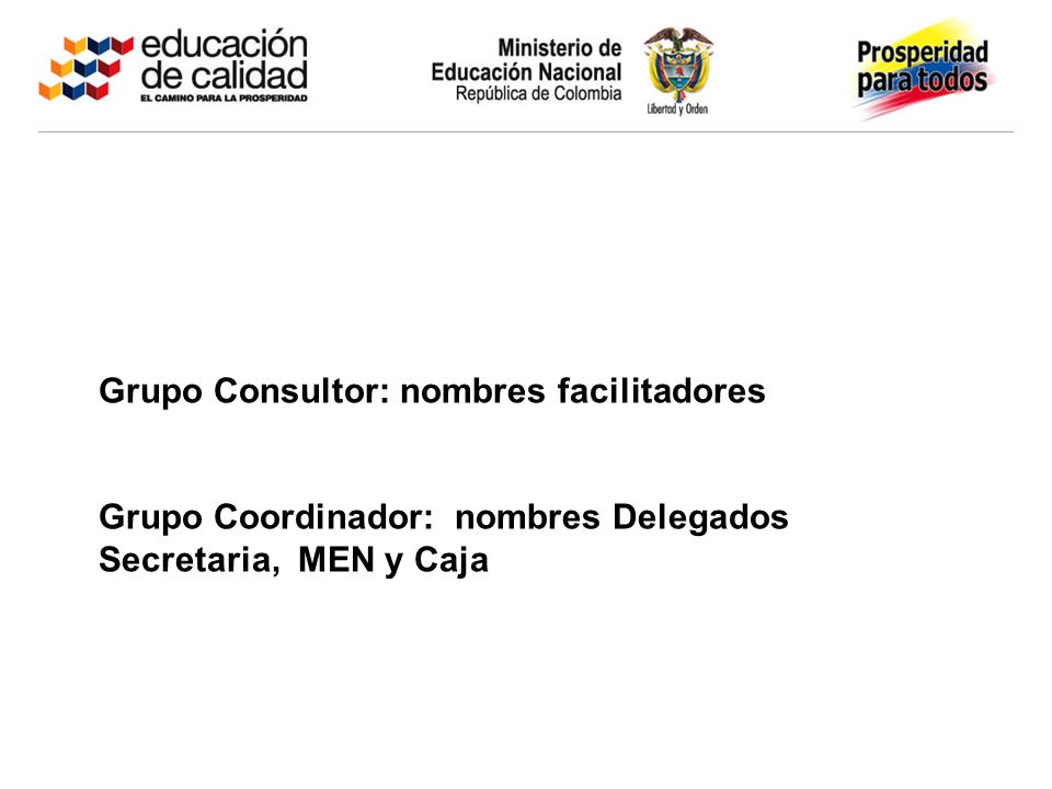 Grupo Consultor: nombres facilitadores
