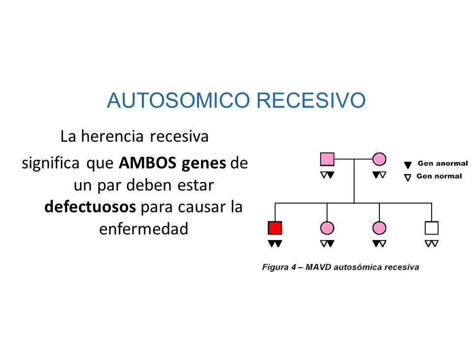 AUTOSOMICO RECESIVO La herencia recesiva significa que AMBOS genes de un par deben estar defectuosos para causar la enfermedad