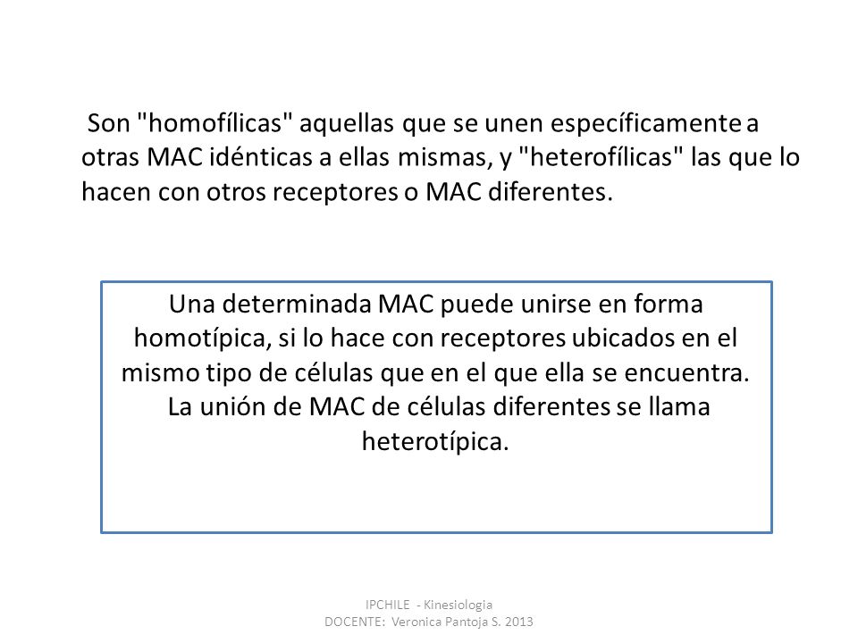 La unión de MAC de células diferentes se llama heterotípica.