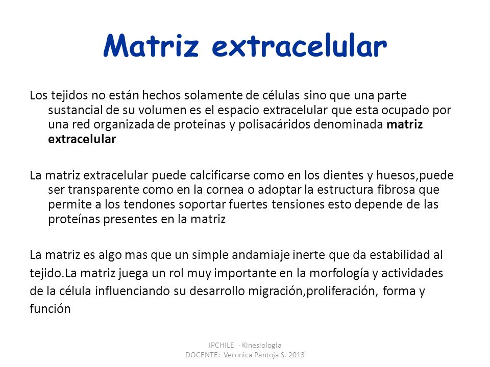 IPCHILE - Kinesiologia DOCENTE: Veronica Pantoja S. 2013